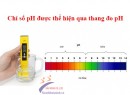 Sử dụng máy đo pH thế nào cho hiệu quả