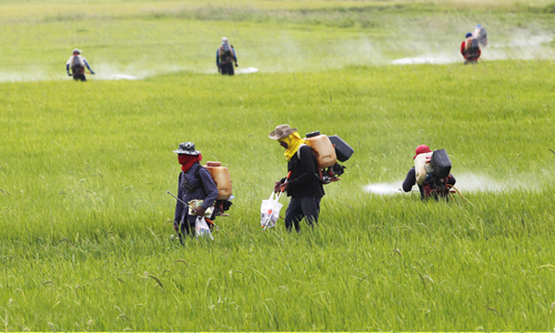 Máy phun thuốc sâu ngày càng được đông đảo người dùng sử dụng