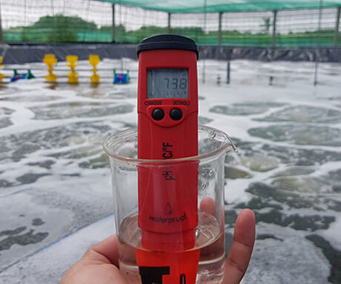 Máy đo ph chuyên dụng đo pH nước