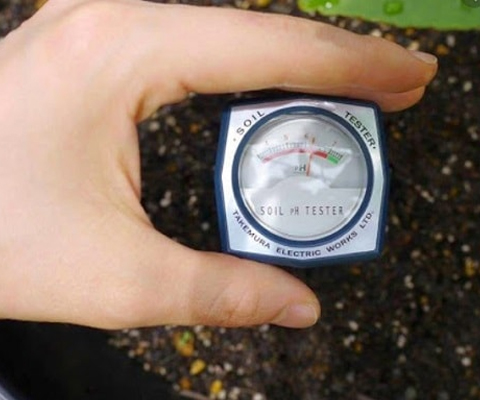 Máy đo ph chuyên dụng đo ph đất