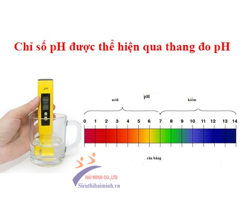 Sử dụng máy đo pH thế nào cho hiệu quả