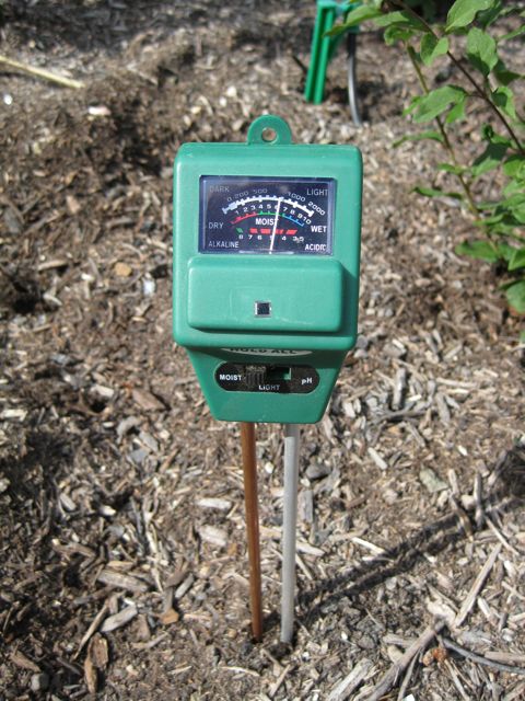 Máy đo độ ẩm đất có tốt không?