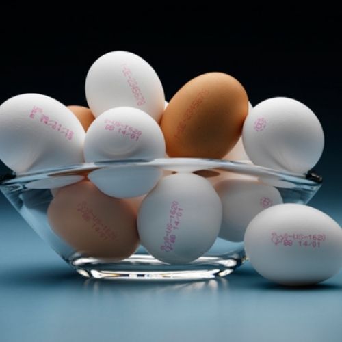 Giải pháp in phun date lên sản phẩm trứng gia cầm có hiệu quả không