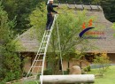 Cách sử dụng thang nhôm một cách an toàn trong vườn